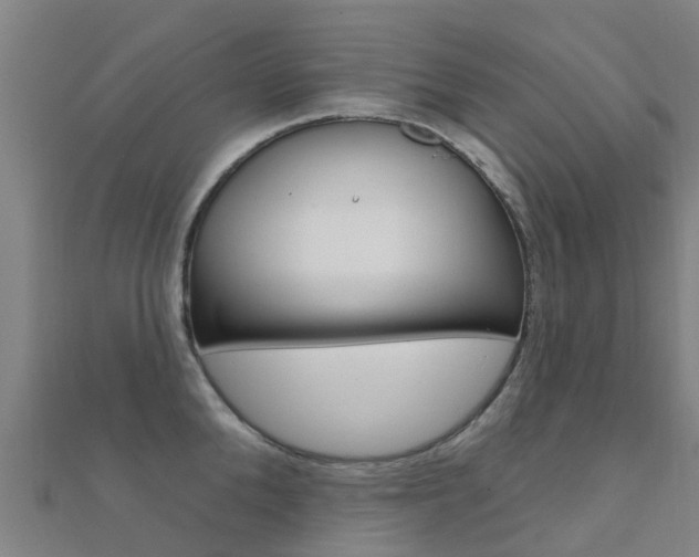 X0000112430904200908141108