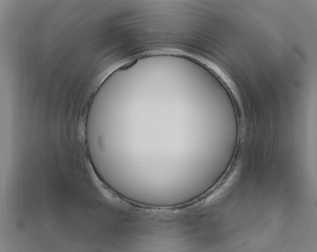X0000112430905200908141108