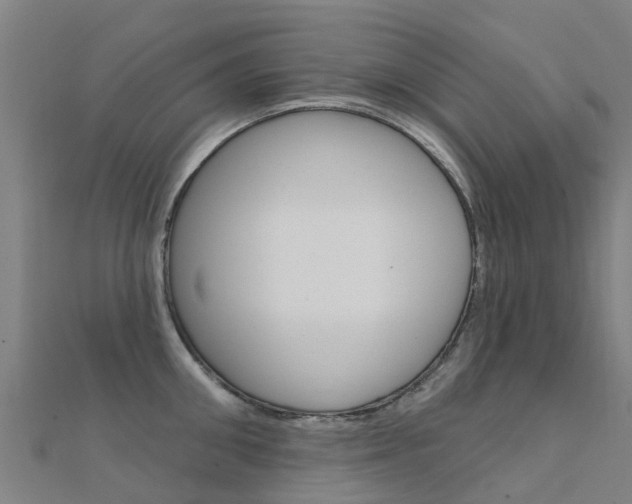 X0000112430906200908141108