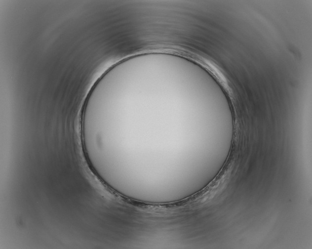 X0000112430907200908141108