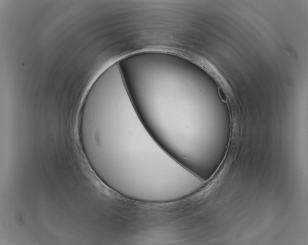 X0000112430908200908141108