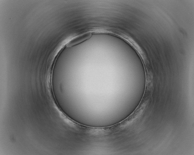 X0000112430909200908141108