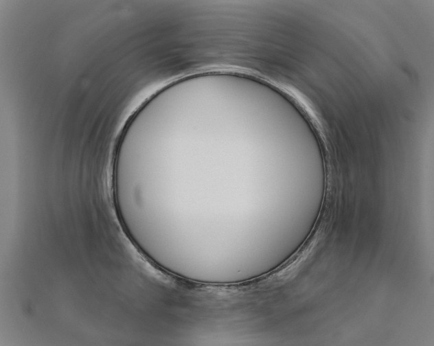 X0000112430910200908141108