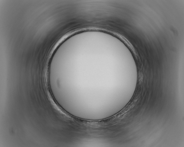 X0000112430911200908141108