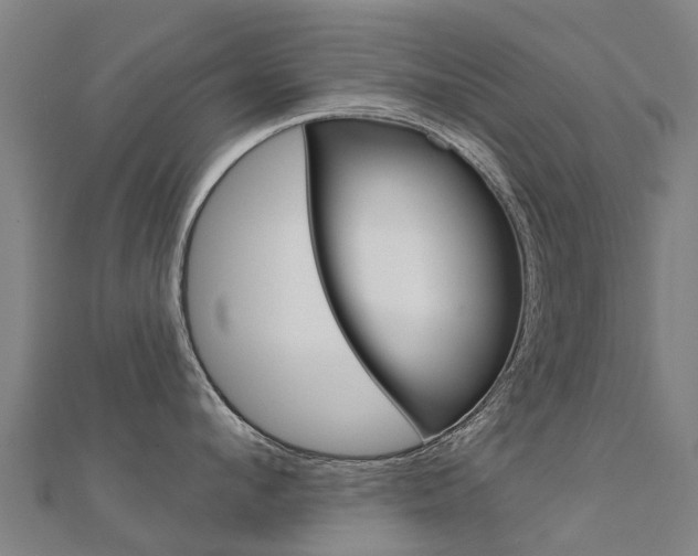 X0000112430912200908141108