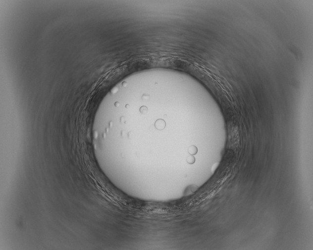 X0000112430913200908141108
