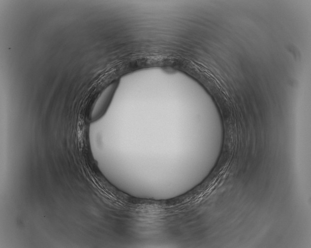 X0000112430914200908141108