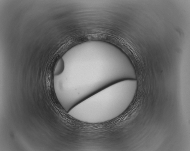 X0000112430915200908141108