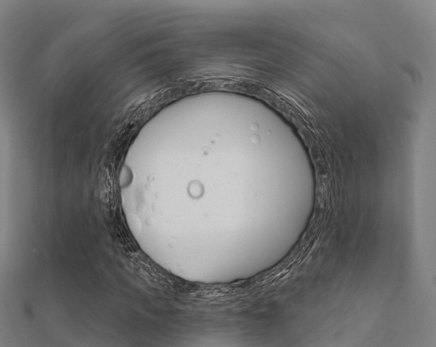 X0000112430917200908141108