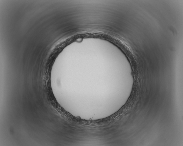 X0000112430920200908141108