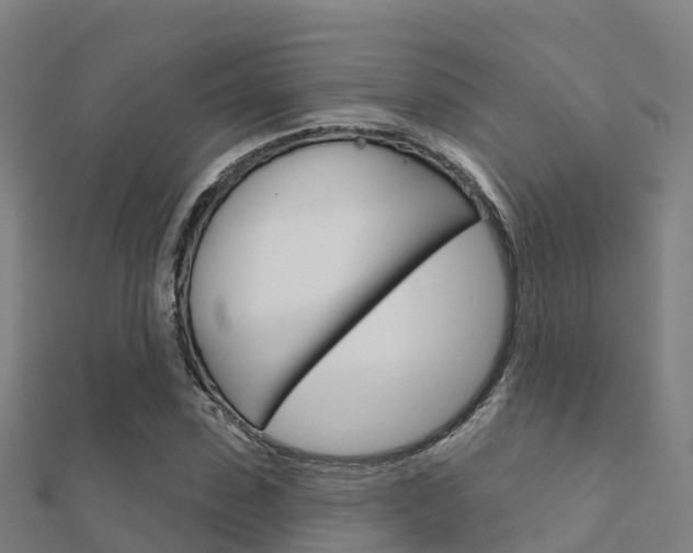X0000112430923200908141108