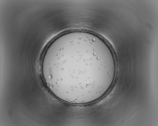X0000112430925200908141108
