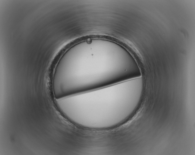 X0000112430926200908141108
