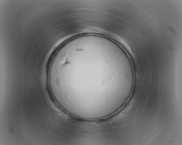 X0000112430931200908141108