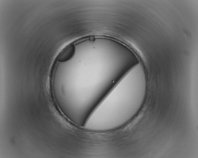 X0000112430932200908141108