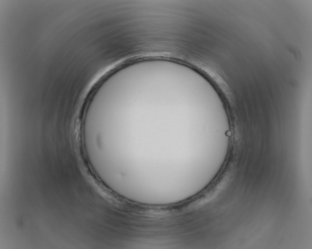 X0000112430933200908141108
