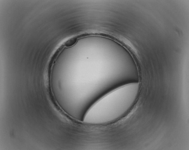 X0000112430934200908141108