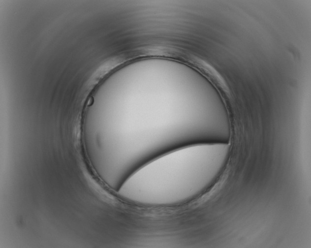X0000112430938200908141108