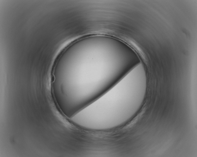 X0000112430940200908141108