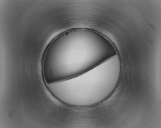 X0000112430942200908141108