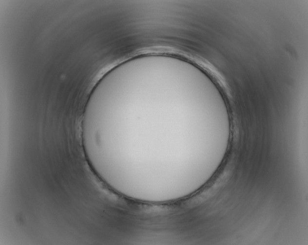 X0000112430945200908141108