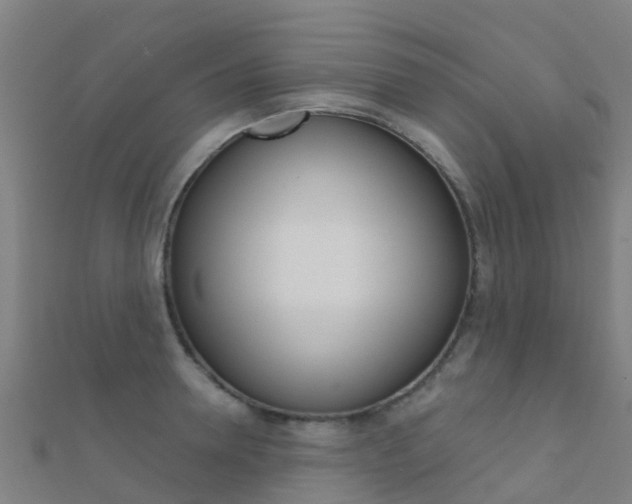 X0000112430946200908141108