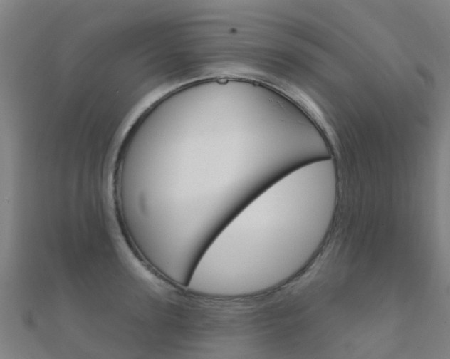 X0000112430947200908141108