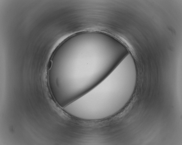X0000112430948200908141108