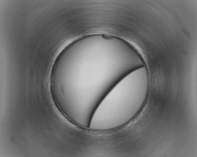 X0000112430949200908141108