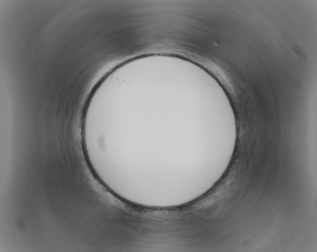 X0000112430950200908141108
