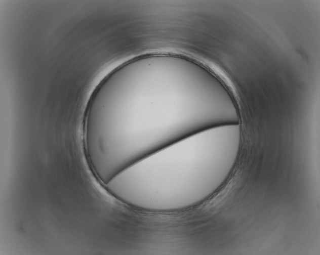 X0000112430951200908141108