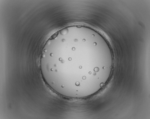 X0000112430953200908141108