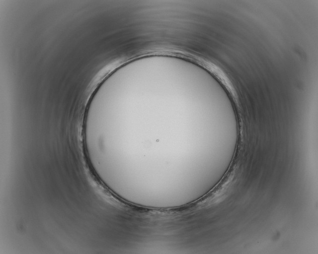 X0000112430954200908141108