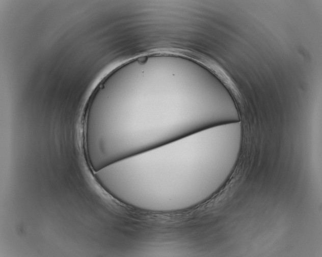 X0000112430955200908141108
