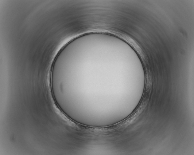 X0000112430958200908141108