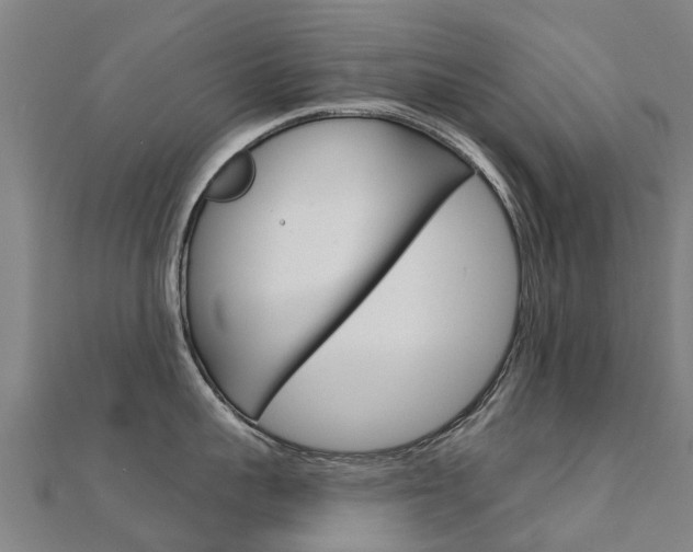 X0000112430959200908141108