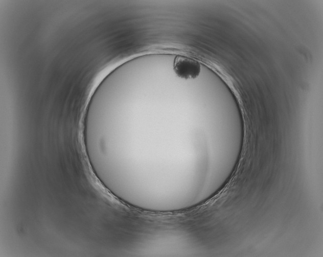 X0000112430960200908141108