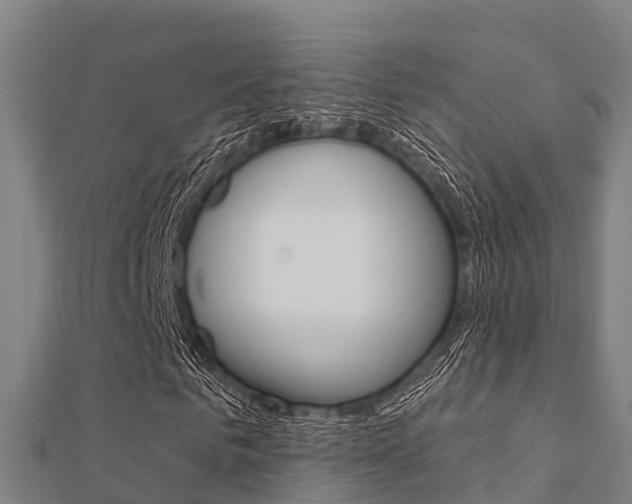 X0000112430961200908141108