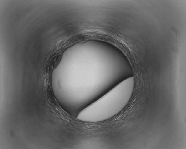 X0000112430965200908141107