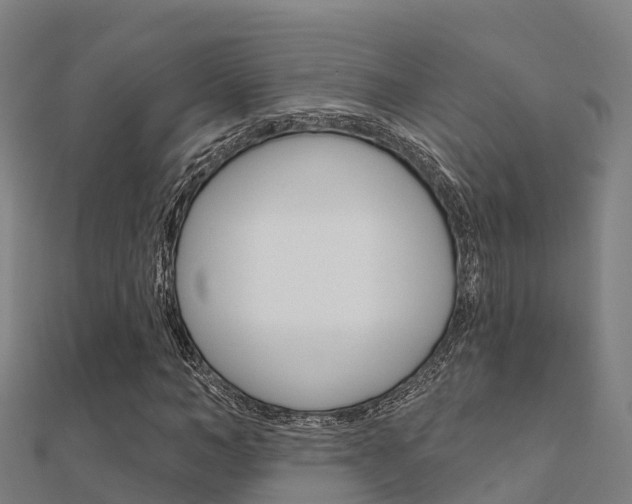X0000112430966200908141107