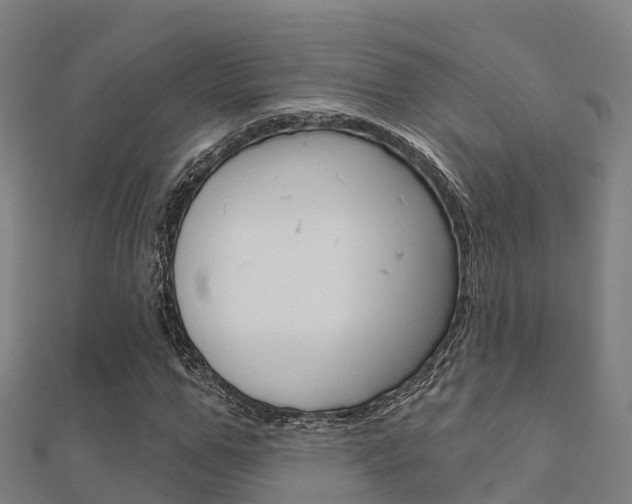 X0000112430967200908141107