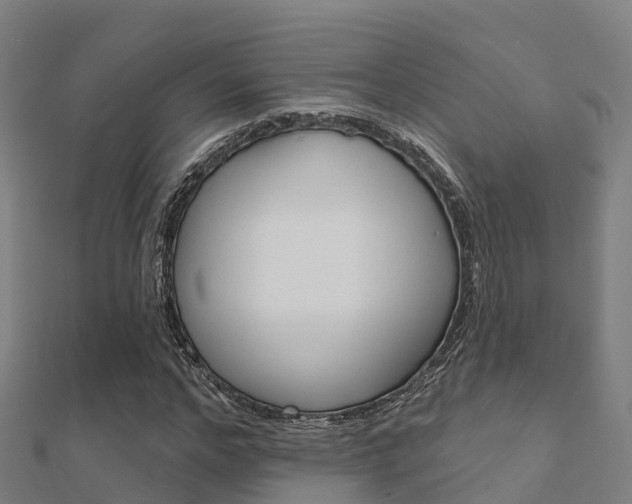 X0000112430968200908141107