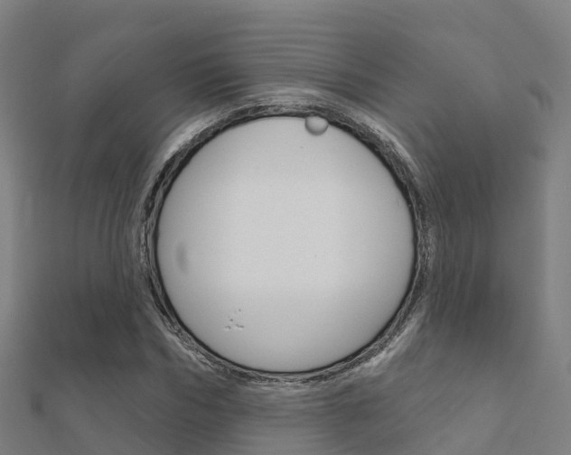 X0000112430970200908141107