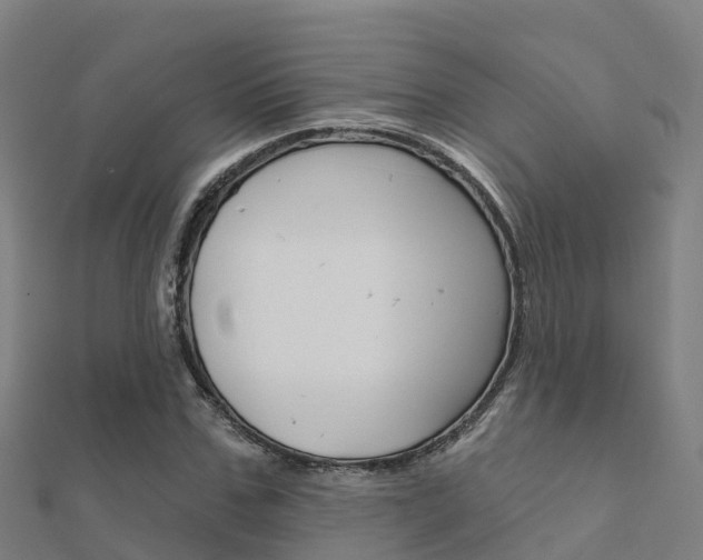 X0000112430971200908141107