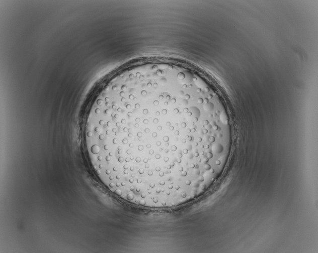 X0000112430974200908141107