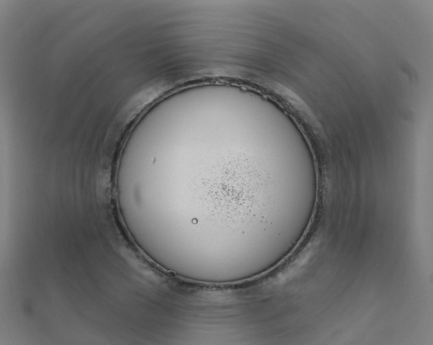 X0000112430977200908141107