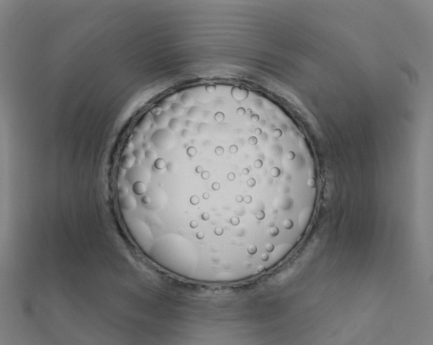 X0000112430978200908141107