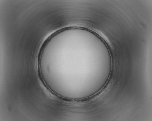 X0000112430980200908141107