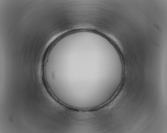 X0000112430983200908141107