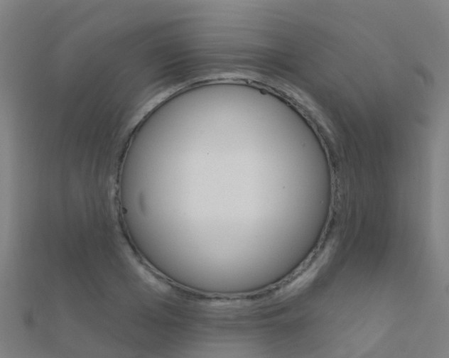 X0000112430985200908141107